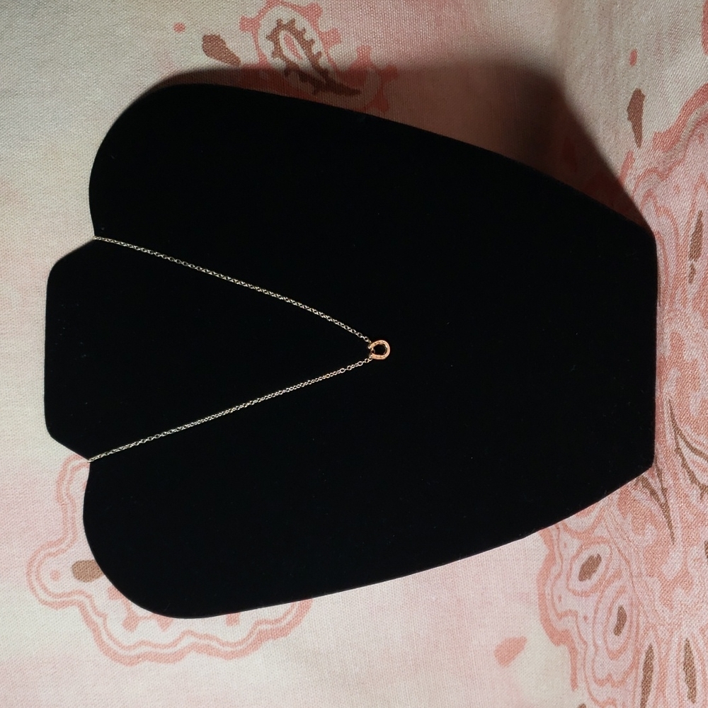 Lucky Horseshoe Necklace Horse Cowgirl Western Country Vaquera Dainty Minimalist - Picture 3 of 13